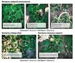 �������� �� ������������ ���������� - ����������� 2