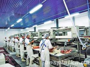 �������� �� �������-�������� ������������ (������) - ����������� 1