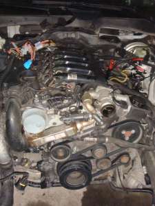 �������� ��� - ����������� 1