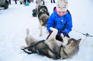 �������� ��� �� ���-����� "� ���� �����" - ����������� 1