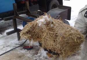 �������� ��� ���� - ����������� 1