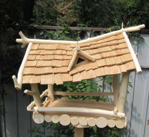 �������� ��� ���� - ����������� 1