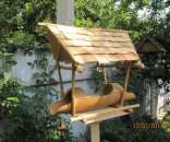 �������� ��� ���� - ����������� 3