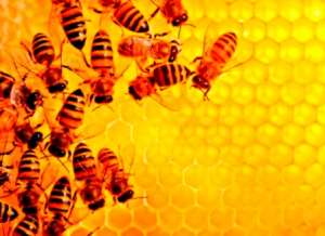 �������� ��� ����� - ����������� 1