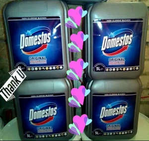 �������� ��� ������ Domestos - ����������� 1
