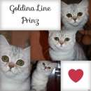 ������� � ����������: �������� ��� ������