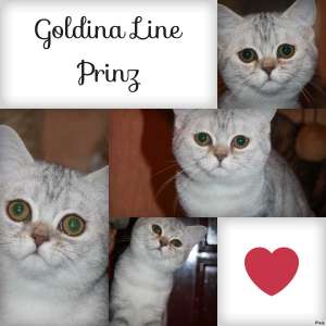 �������� ��� ������ - ����������� 1