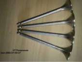 ������� � ����������: �������� ��� ������ �49, �50