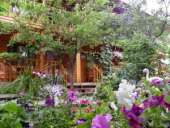 �������� ��� "������" (����, ���������) ���������� �� �����. - ����������� 2