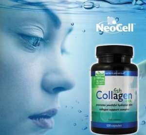 �������� ��� ���������� ���� ���� - ����������� 1