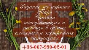 ��������, ��� ����������, ������� �������. ������� ��������. ������ �����, ���������.������� �� ���� - ����������� 1