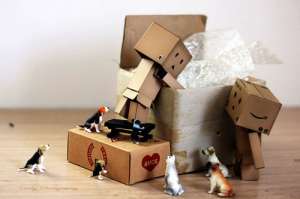 �������� ���� - ����������� 1