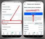 �������� ���� - ozon4m877i 300 ������. ������/����� ������ - �������/�������