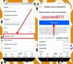 �������� ���� - ozon4m877i 300 ������. ������/����� ������ - �������/�������