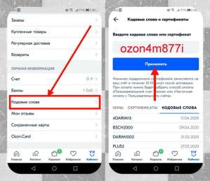 �������� ���� ozon4m877i �� 300 ������ - ����������� 1