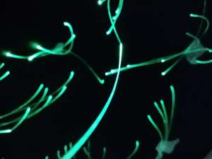 �������� ���� � ����� ���� - ����������� 1