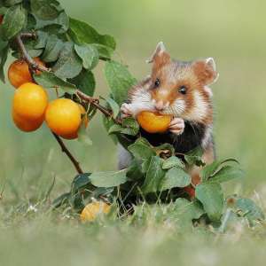 �������� ���� � ������� - ����������� 1