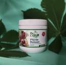 �������� ���� � ���������� �������� ������� - ����������� 1