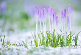 �������� ���� ��� - ����������� 1