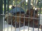 �������� ���� ���, ����, ����� - ����������� 2