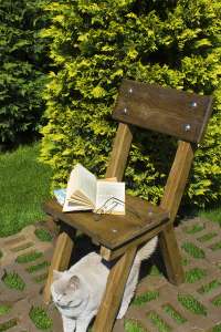 �������� ���� ��� ������ SEDIE - ����������� 1