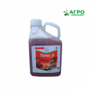 �������� ���� �����. �������� - �������/�������