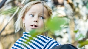 �������� ���� ����� � ������ - ����������� 1