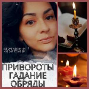 �������� ����. ����� ����� � �����. �������. �������. - ����������� 1