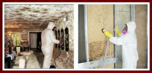 �������� ���� ����� ������� � ������� �� ������, ��������, �����, ������� - ����������� 1