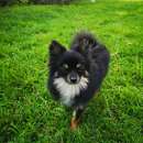 ������� � ����������: �������� ���� ������