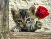 �������� ���� ������ � �����.. ����� ��������� - ����������