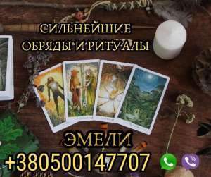 �������� ����. ������ �����. - ����������� 1