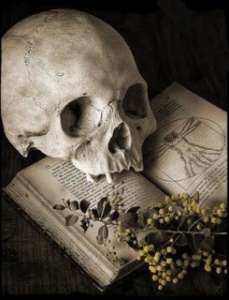 �������� ����. ������� ����. ��� ���� - ����������� 1