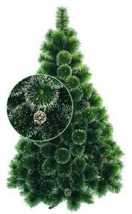 �������� ���� - �������� ��������� - ����������� 1