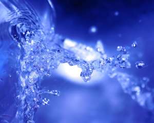 �������� ���� ���������! ��������� - ����������� 1