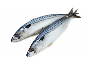 �������� ���� ������������ - ����������� 1