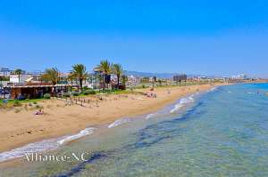 �������� ���� - ������������ � ���������� - ����������� 1