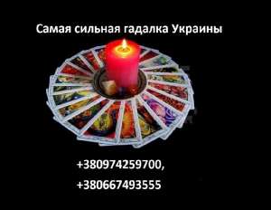 �������� ���� ������������. ������ ����������� �������. - ����������� 1