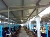 ������� � ����������: �������� ����, �������������, ��������������