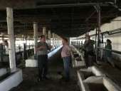 �������� ����, �������������, �������������� - ����������� 2