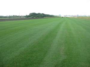 �������� ����� - ����������� 1