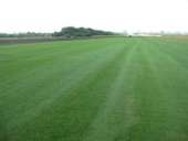 ������� � ����������: �������� �����