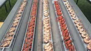 �������� ����� - ����������� 1