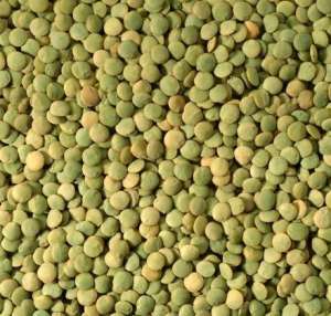 �������� ����� - ����������� 1