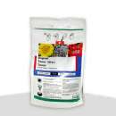 �������� �����. �������� - �������/�������