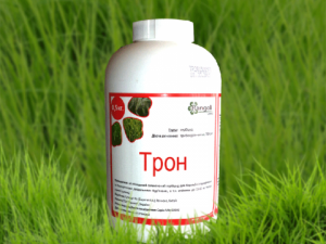 �������� ����� - ����������� 1