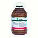 �������� �����. �������� - �������/�������