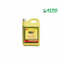 �������� �����. �������� - �������/�������