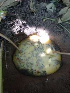 �������� ����� - ����������� 1