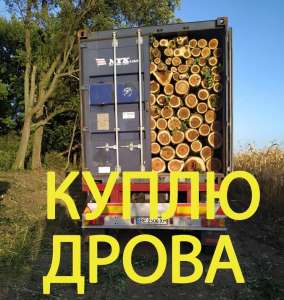 �������� ����� - ����������� 1